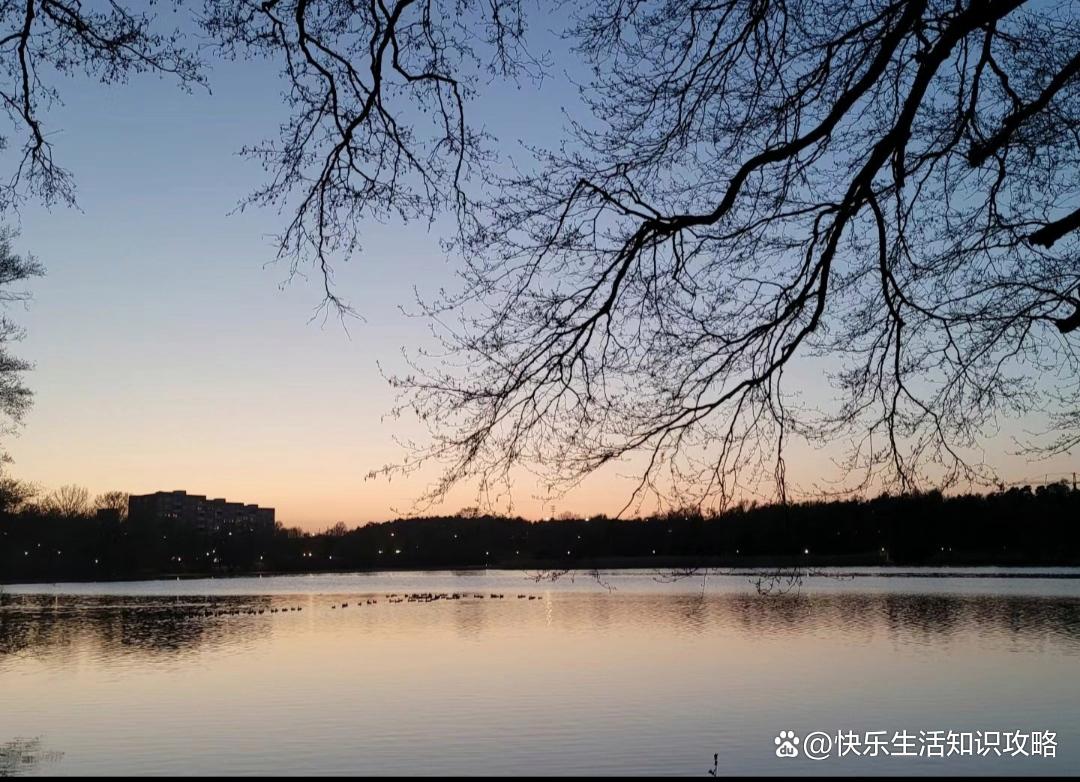 赚钱最快的四条路
