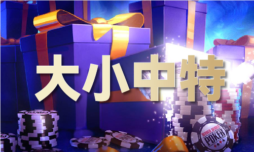 网创2025项目