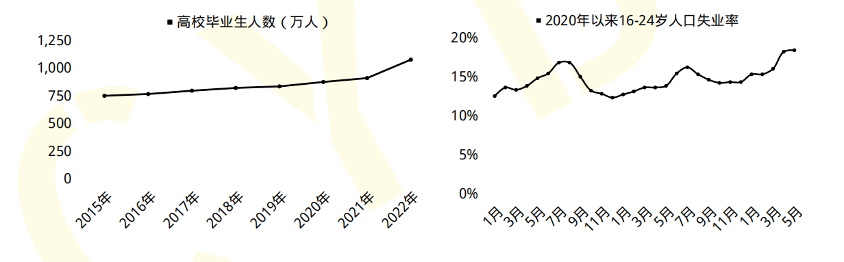 职业鉴定师是干啥的