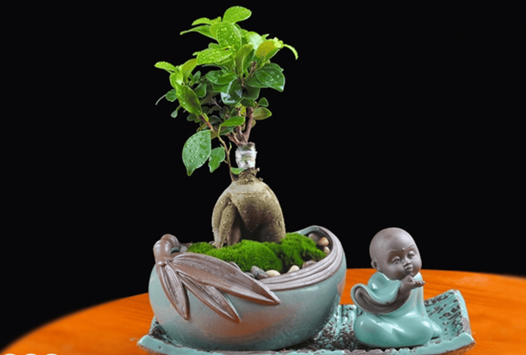 性价比低的高端礼物