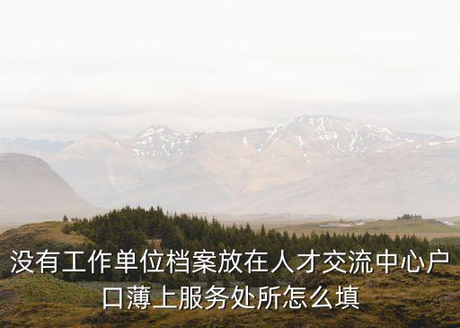 没有工作单位档案放在人才交流中心户口薄上服务处所怎么填