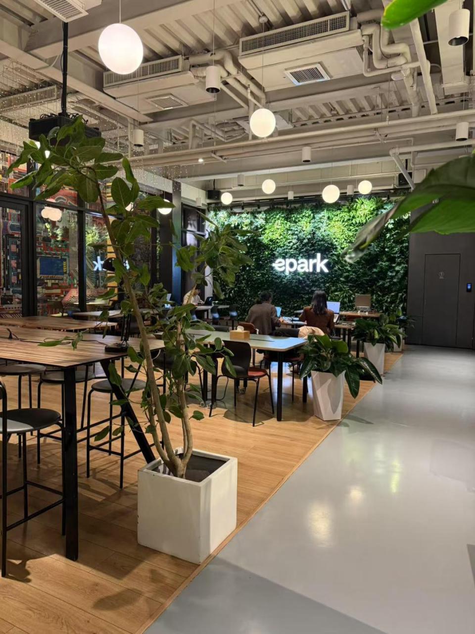 国内ai创业太简单了