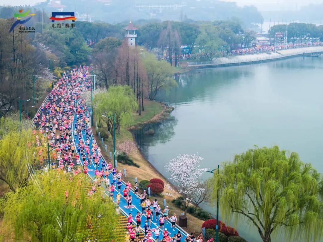 2025最新陪跑项目