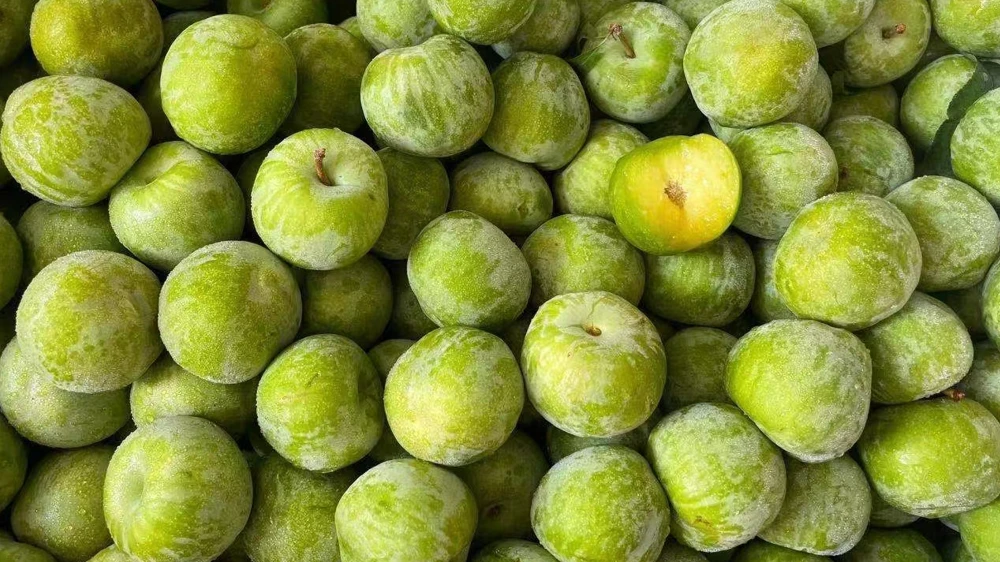 新手怎样开水果店