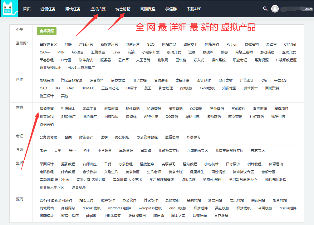 穷兼宝虚拟暴利项目如何把10元产品30天卖到100万！插图