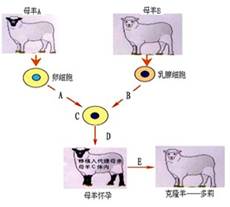 AI不能代替人类：论据、原因及三个实例分析