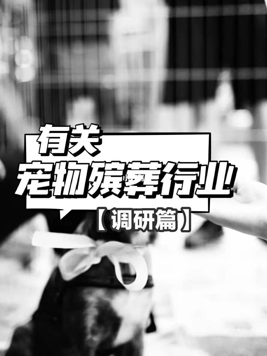 宠物殡葬行业真实现状 宠物殡葬行业真实现状