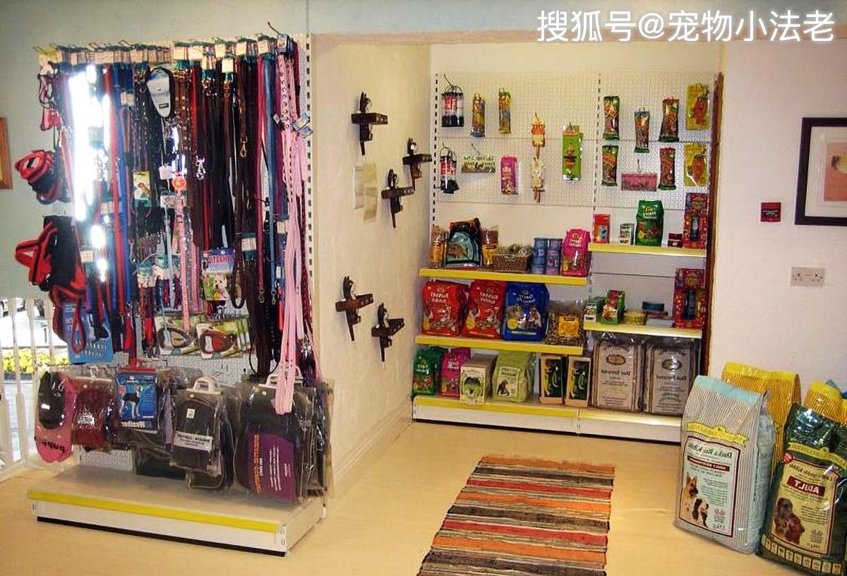 宠物市场什么比较暴利