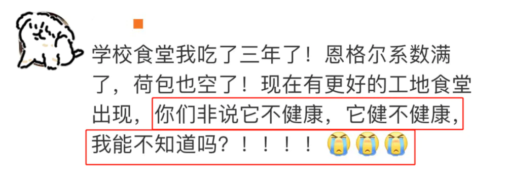 年轻人从大厂到摆摊 年轻人从大厂到摆摊