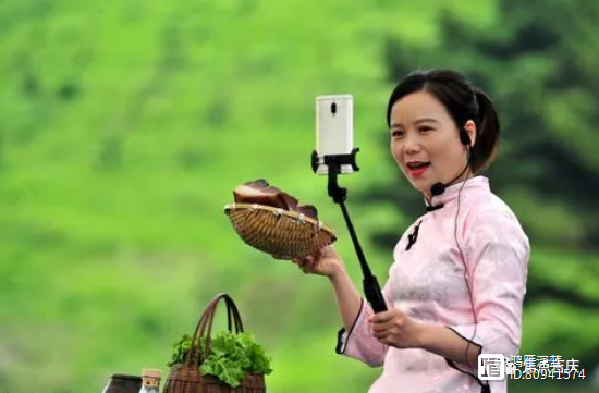 带娃赚钱两不误的工作