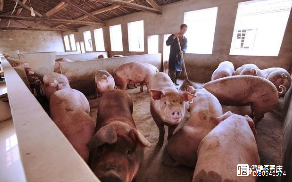 带娃赚钱两不误的工作