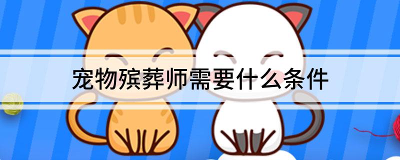 哪里可以培训宠物殡葬师