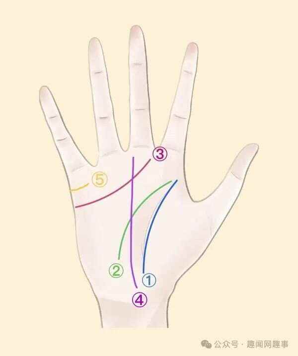 如何看手相