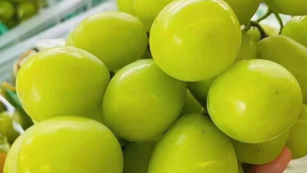 新手怎样开水果店