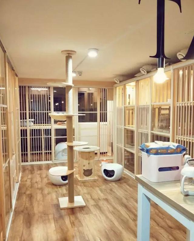 宠物寄养服务市场现状