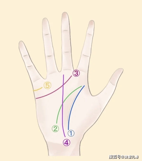 如何看手相