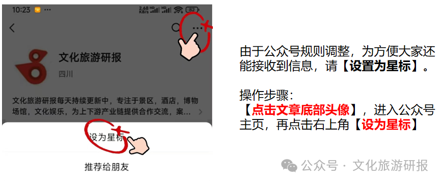 银发旅游的现状与分析