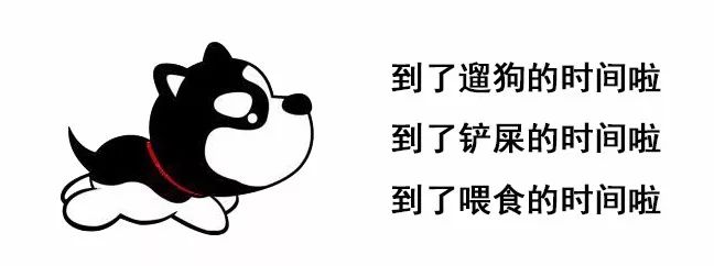 宠物寄养一般怎么收费