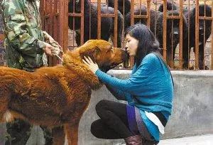 宠物寄养一般怎么收费