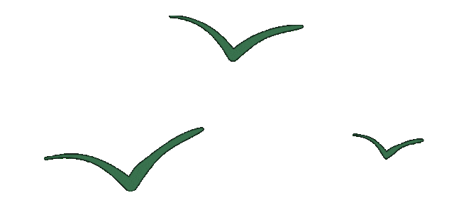 为什么要打造个人IP