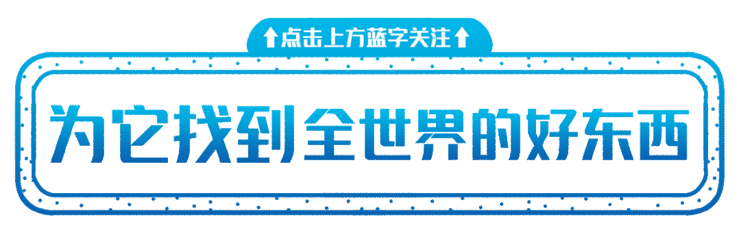 宠物寄养一般怎么收费