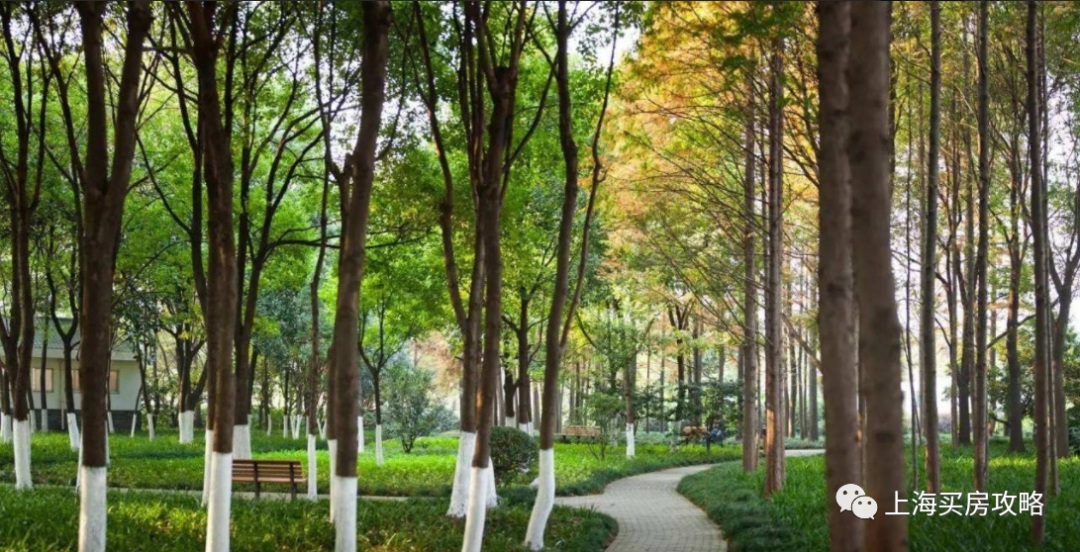 社区超市的优势和劣势 社区超市的优势和劣势