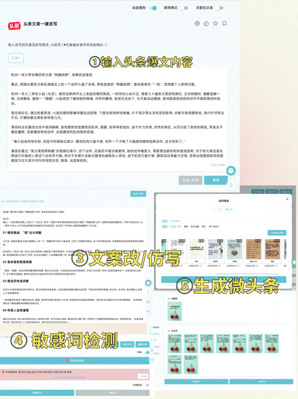 宠物赛道可以挣钱吗