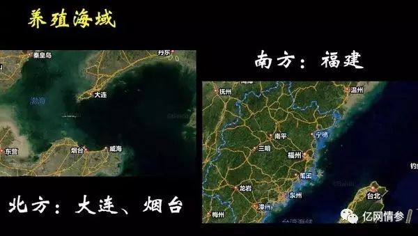 目前最火爆的养生行业