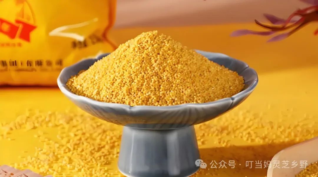 智慧农业靠什么赚钱