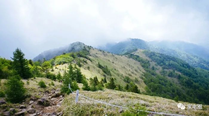 二手旧货生意前景