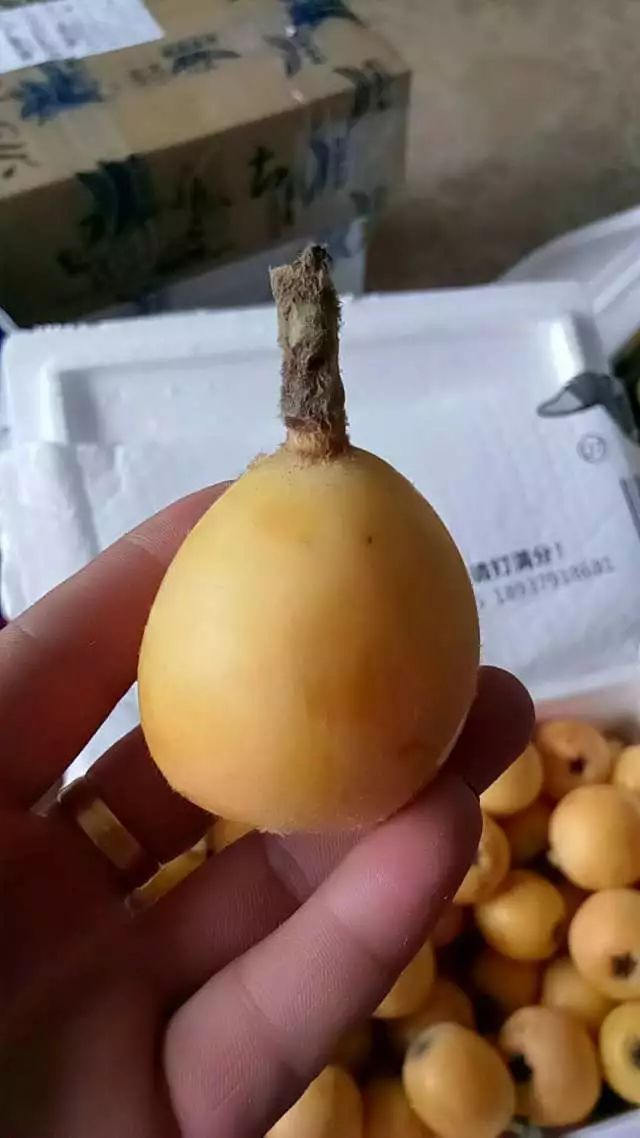 做同城配送怎么样