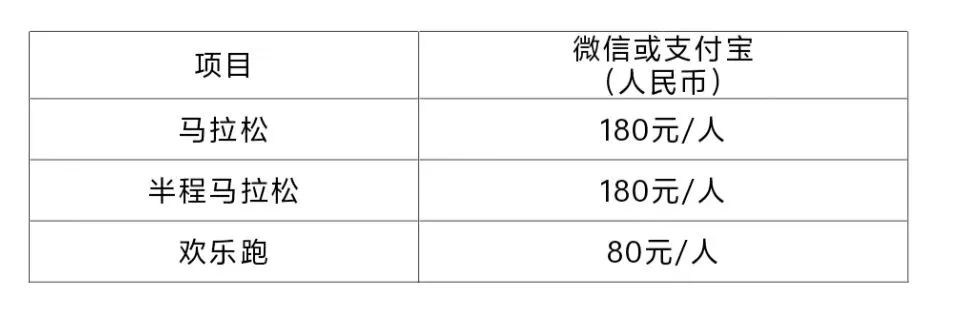 2025最新陪跑项目 2025最新陪跑项目
