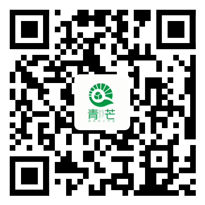 职业生涯规划咨询