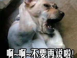 社恐经济产业有哪些 社恐经济产业有哪些