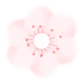 大牌小样划算吗