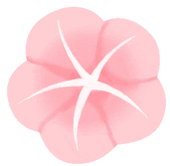 大牌小样划算吗