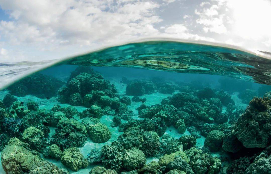 可持续发展是指什么