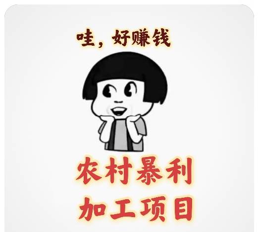 年利润三十万小作坊