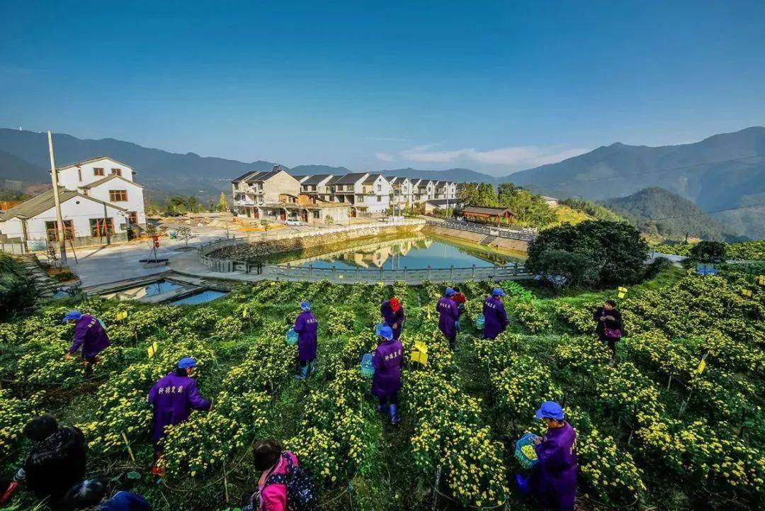 农产品电商平台有哪些?