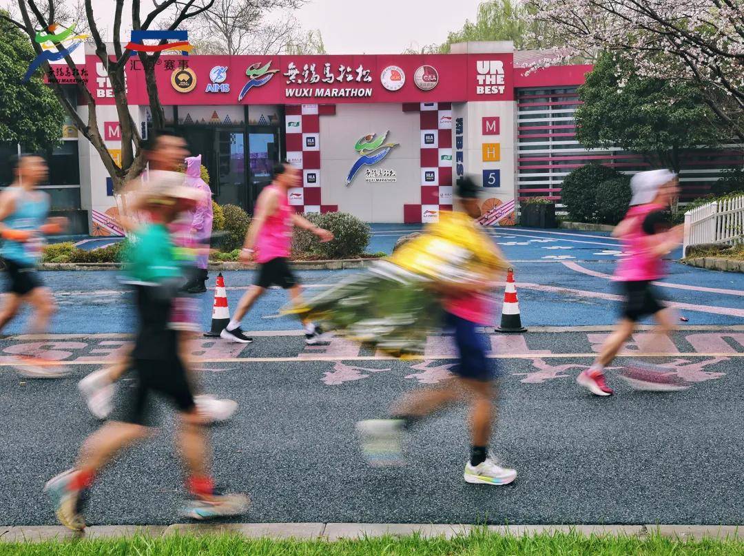 2025最新陪跑项目