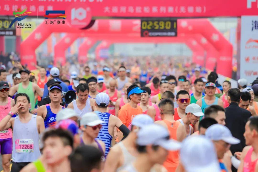 2025最新陪跑项目