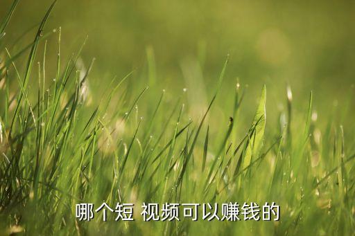 哪个短 视频可以赚钱的