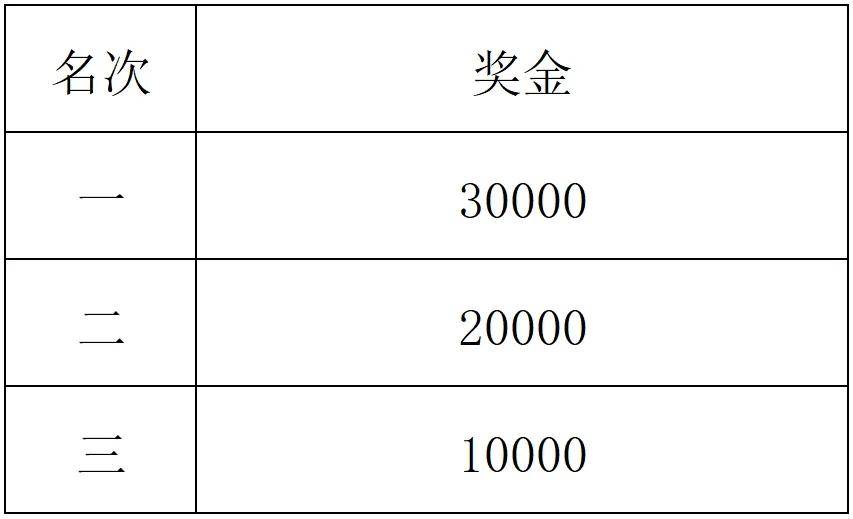 2025最新陪跑项目