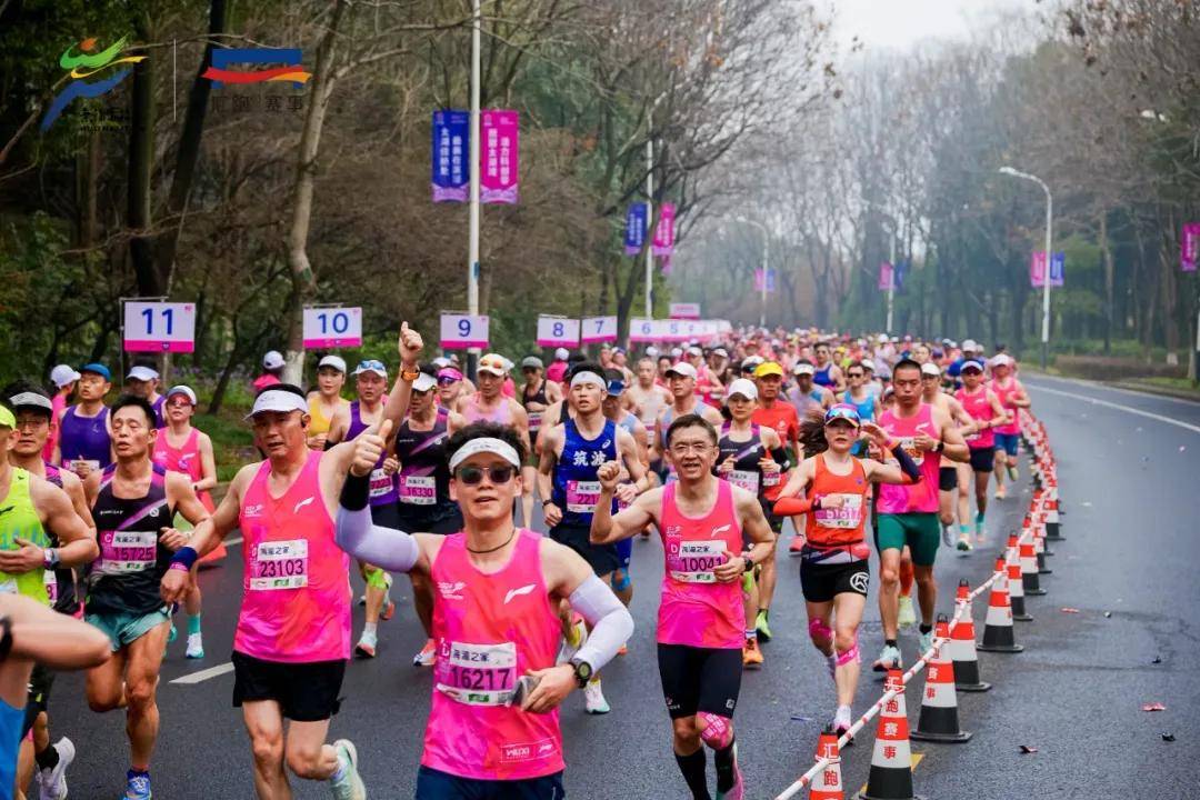 2025最新陪跑项目