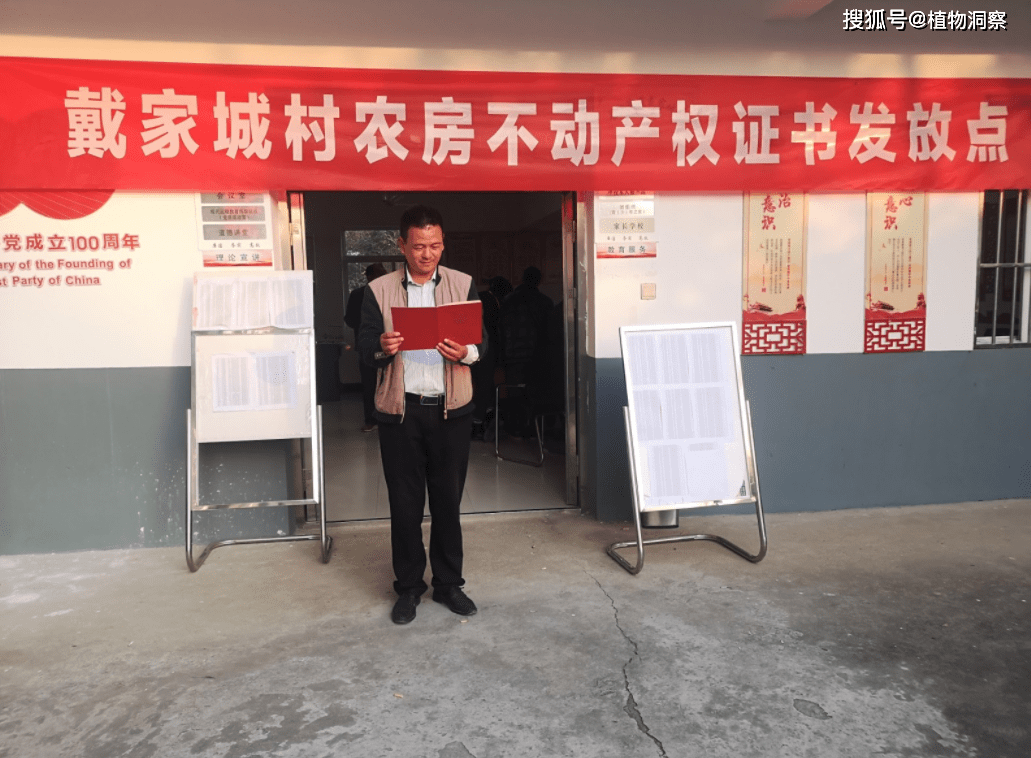 2025年一号文件农村土地改革