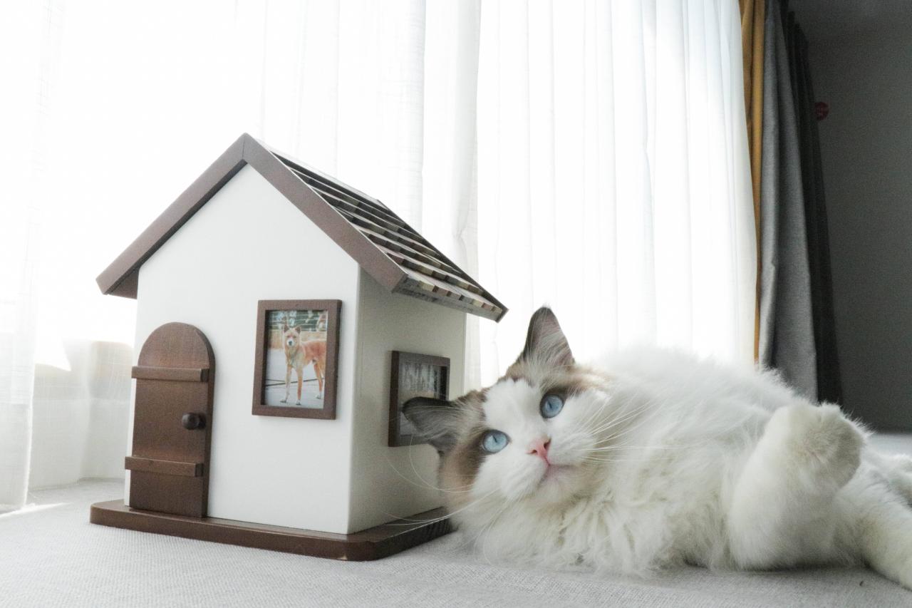 宠物殡葬行业真实现状 宠物殡葬行业真实现状