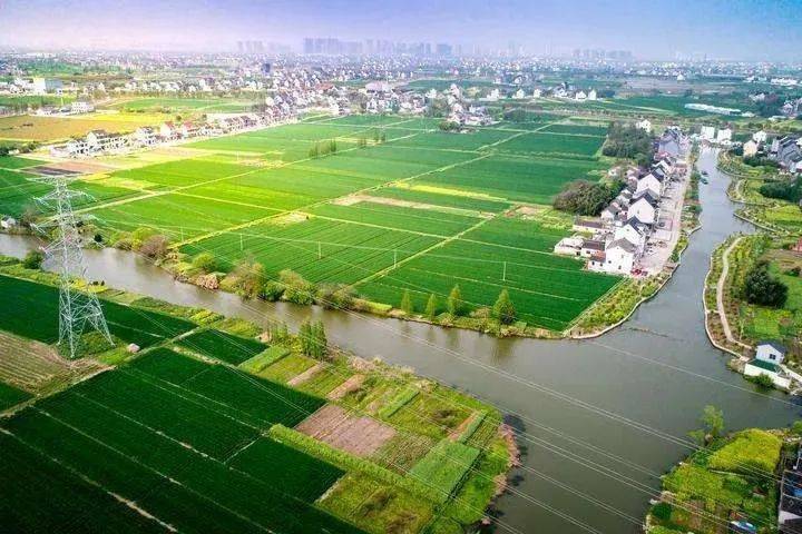 农产品电商平台有哪些?