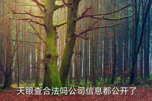 天眼查合法吗公司信息都公开了