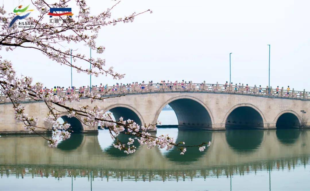 2025最新陪跑项目