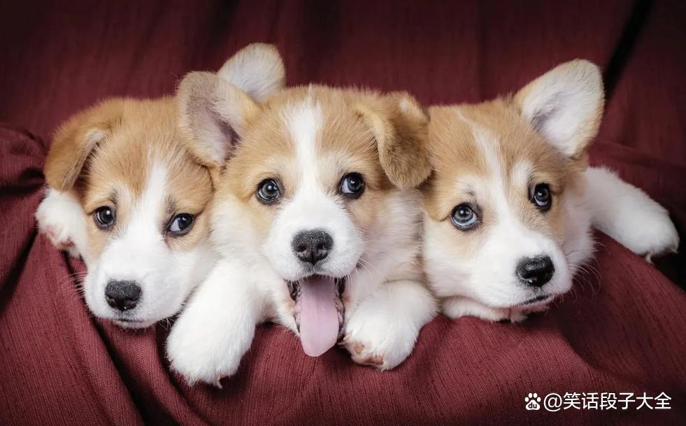 不上班的活法